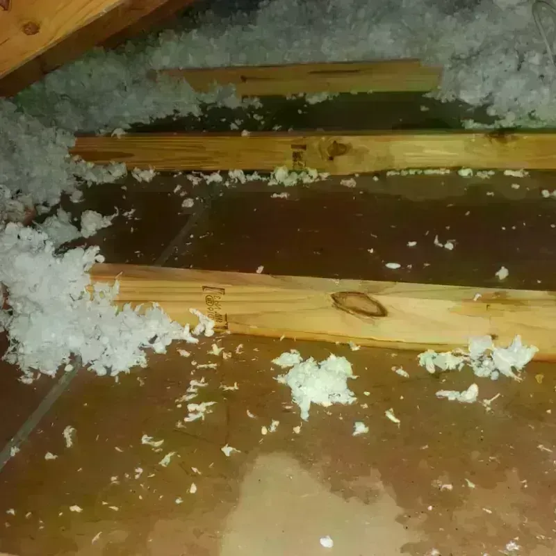 Attic Water Damage in Queens Village, NY